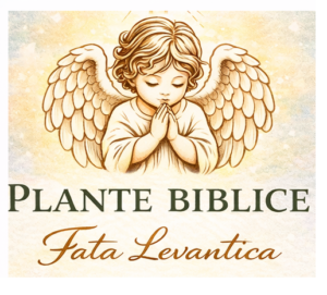 cele-7-plante-biblice