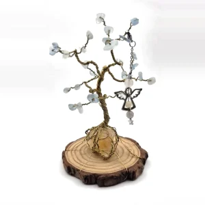 Copac feng shui din acvamarin